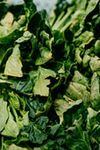 Vitamina A